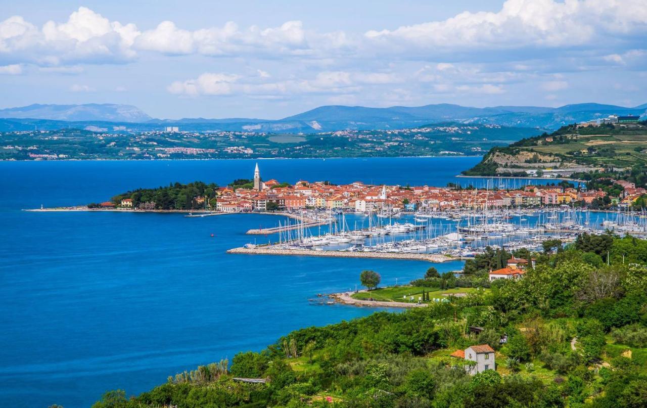 Maravea - New ❷⓿❷❸ Daire Izola Dış mekan fotoğraf